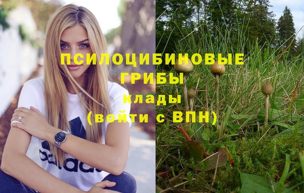кокс Осинники